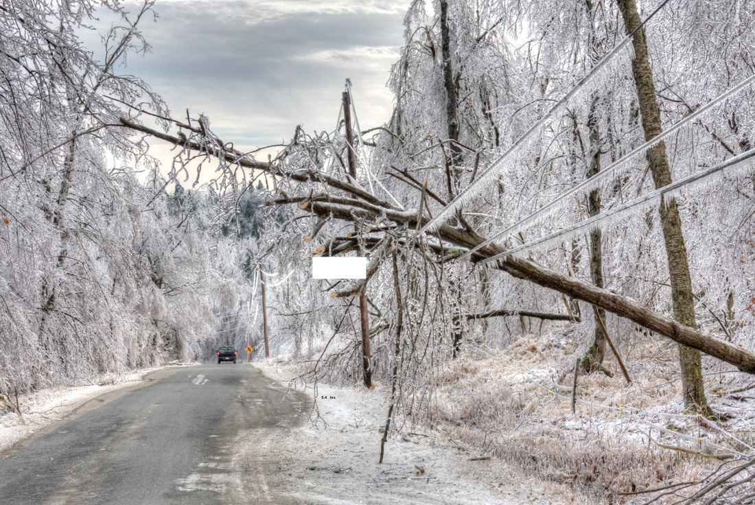 Icy winter road with fallen tree on power lines, snowy forest landscape and overcast sky