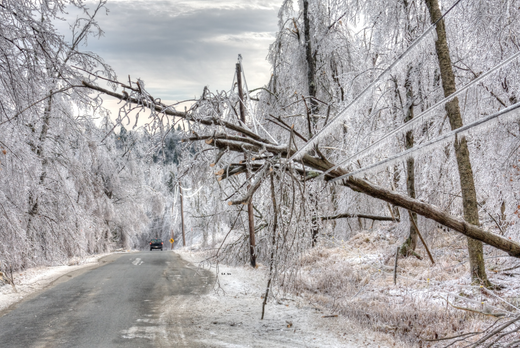 Icy winter road blocked by fallen tree and power lines, with a vehicle approaching in snowy forest