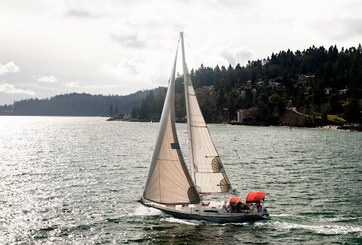 A sailboat racing along a wooded coastline