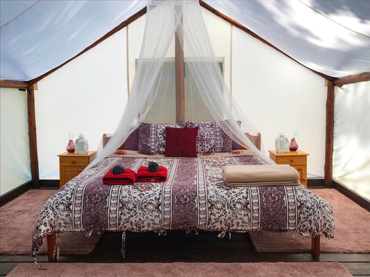 Cozy glamping tent interior with patterned bed, mosquito net, and bedside tables with lanterns
